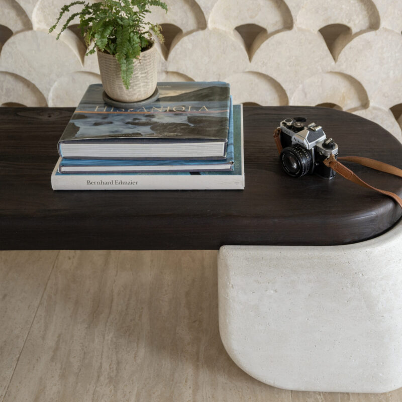 Bao bench with two half-round concrete legs supporting an oval burnt wood seat, high-end modern bench in neutral tones.